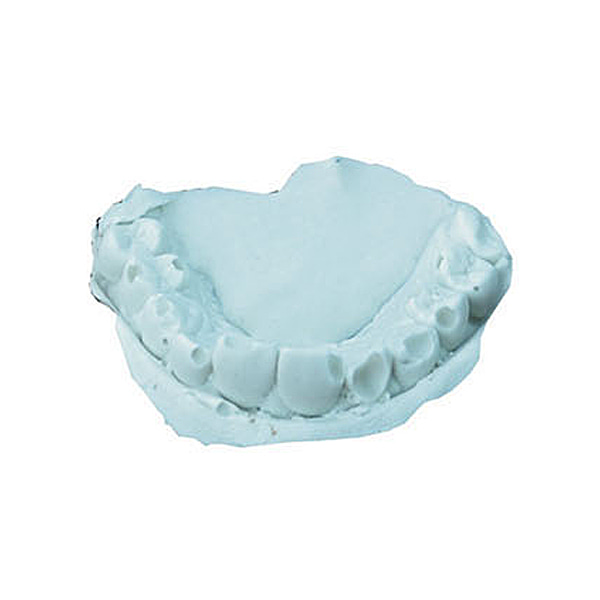 치아모형 만들기 (20인용)