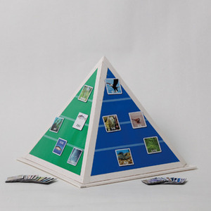 먹이사슬 피라미드(대형)